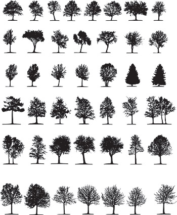 oak tree silhouette clip art. Treesfree tree trees, leaves