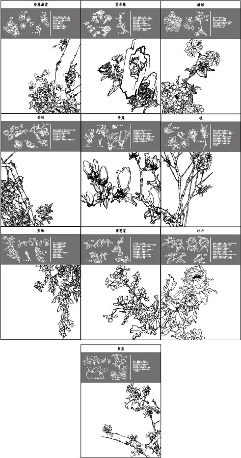 中国工笔画图谱矢量素材11~20