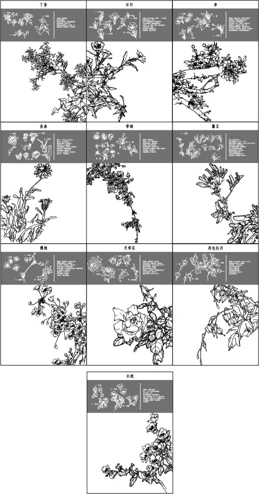 中国工笔画图谱矢量素材21~30 