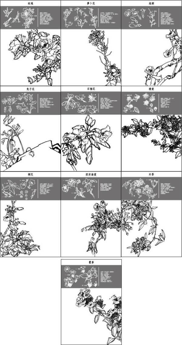 中国工笔画图谱矢量素材41~50   