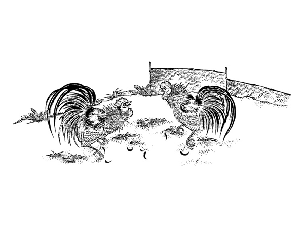 公鸡吃米图矢量素材