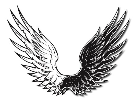 黑白矢量翅膀 Black and white vector Wings