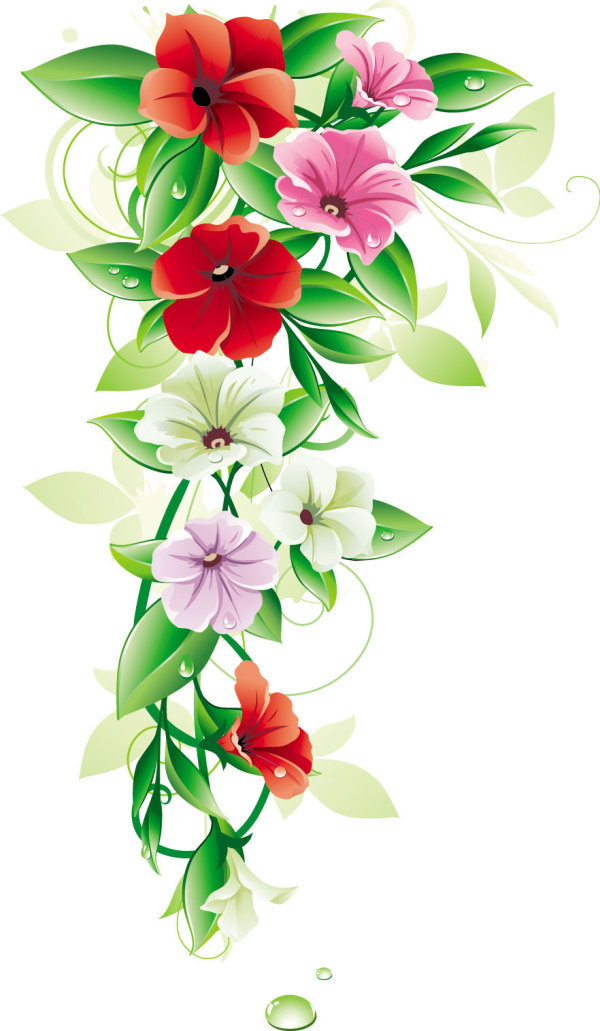 精美鲜花01——矢量素材