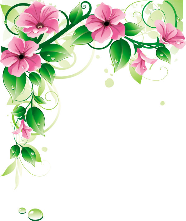 精美鲜花03——矢量素材