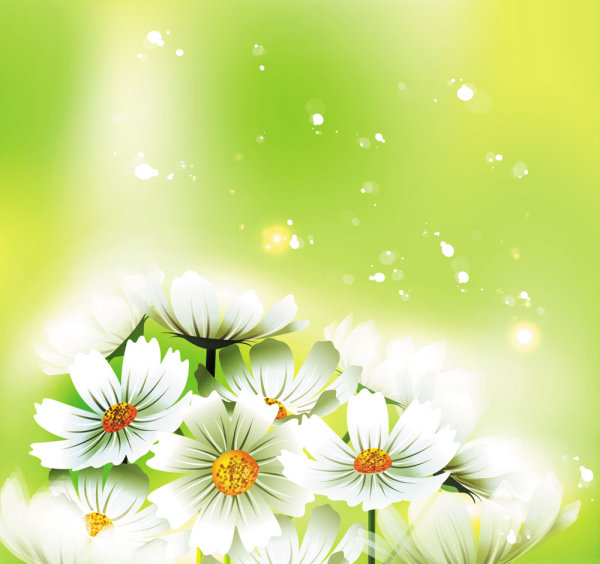 精美鲜花01——矢量素材