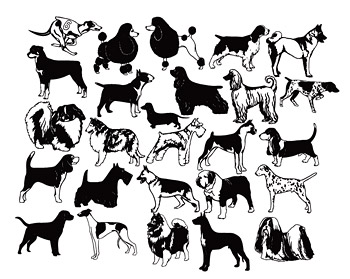 A variety of black and white dog dog vector material_Download free