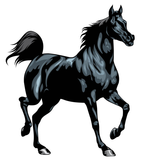 Horse vector material-- 02_Download free vector,3d model,Icon--youtoart.com