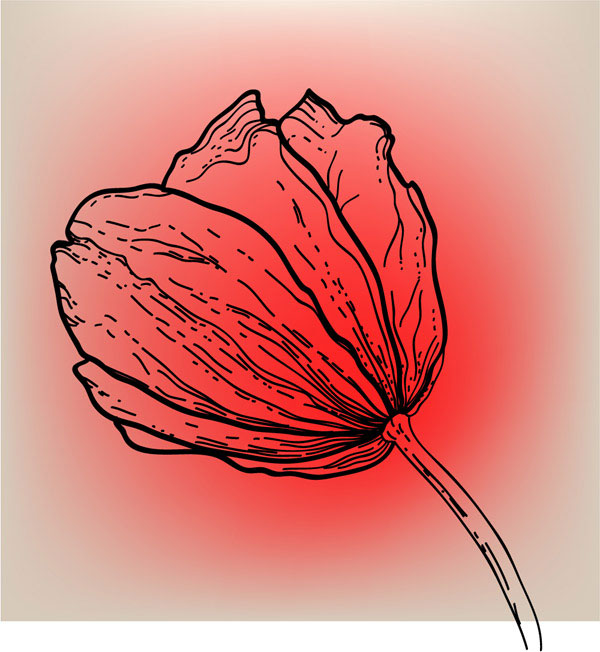 线稿花纹01——矢量素材