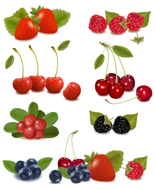 Tasty fruit 01 - vector material